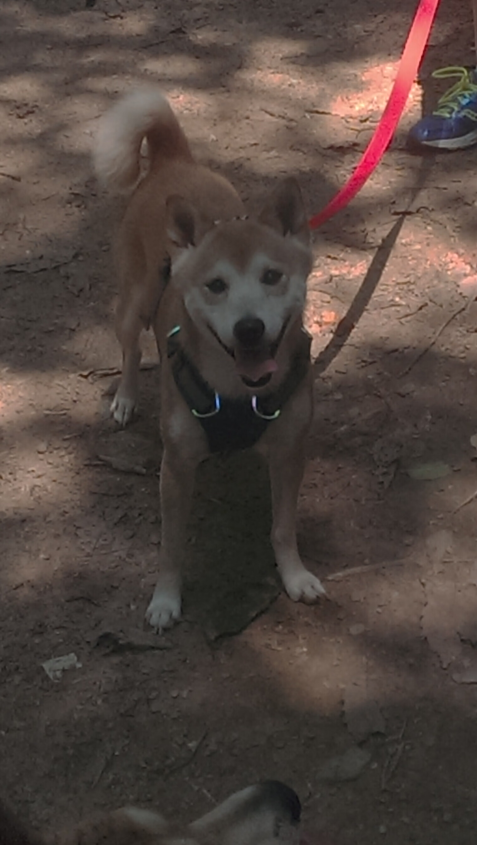 _全民瑜伽月:身心放松新潮流_,全民瑜伽是什么概念