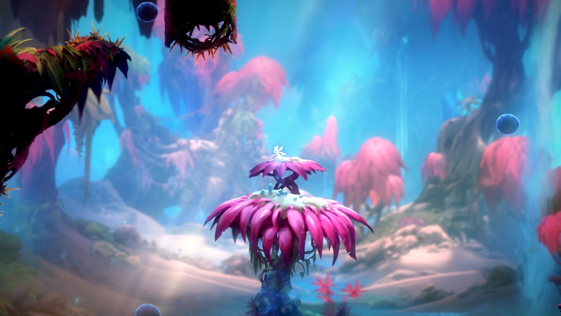 九游网-_迷你网球杯：家庭趣味赛点亮夏日欢乐时光_，迷你网球场