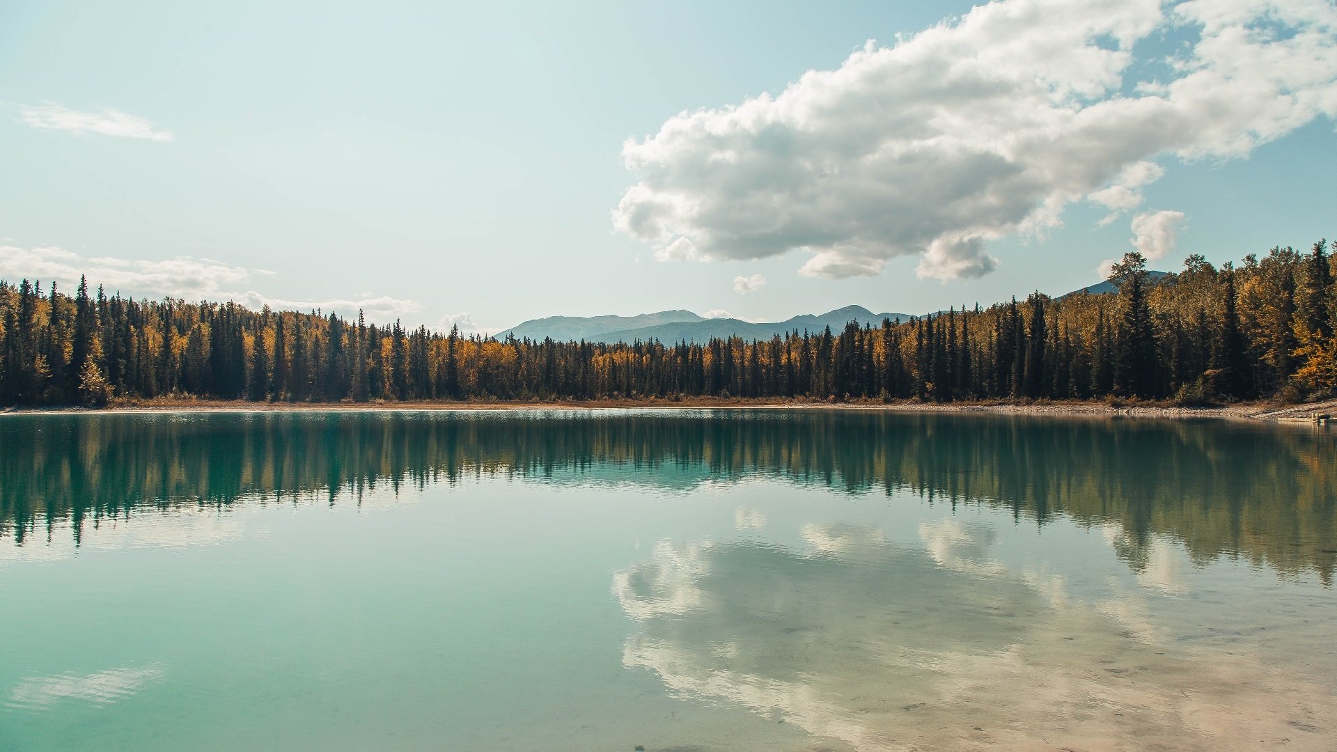 九游娱乐-“意甲联赛精彩不断，年轻球员闪耀赛场”，意甲联赛球星