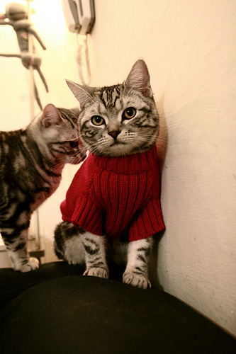 九游官网下载电脑版-《盘点2025年度最火爆电竞赛事TOP10》，电竞赛事影响力排行2020