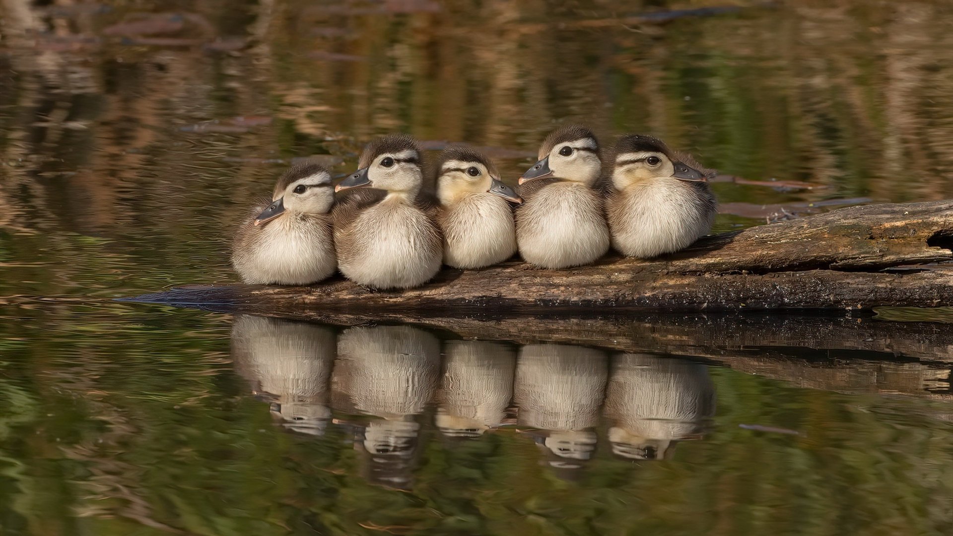 九游游戏中心官网-小组赛激战正酣：不可错过的精彩比赛分析，小组赛比赛顺序