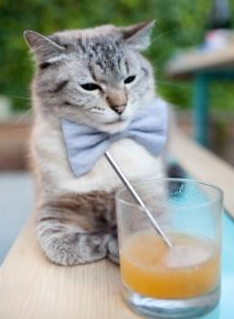 九游登录中心-意甲比赛精彩，专家期待未来表现，意甲赛事预测