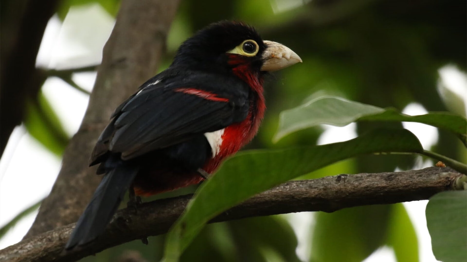 九游网页版官网入口-比赛精彩回顾：所有高光瞬间点亮赛场！，年度高光时刻