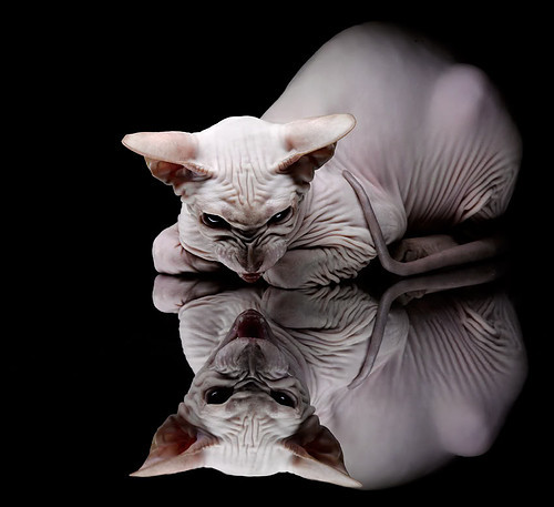 Jiuyou-现场激情：观众席爆满，掌声雷动！，现场激情澎湃是什么意思