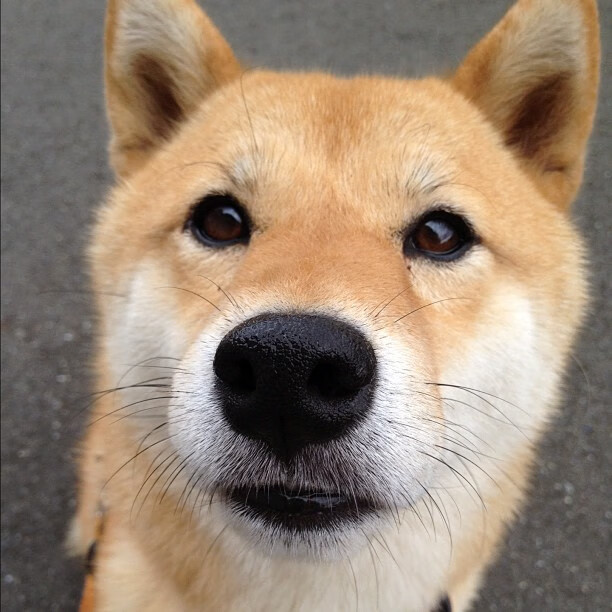 中国篮球运动员国际表现，中国篮球运动员得分排名