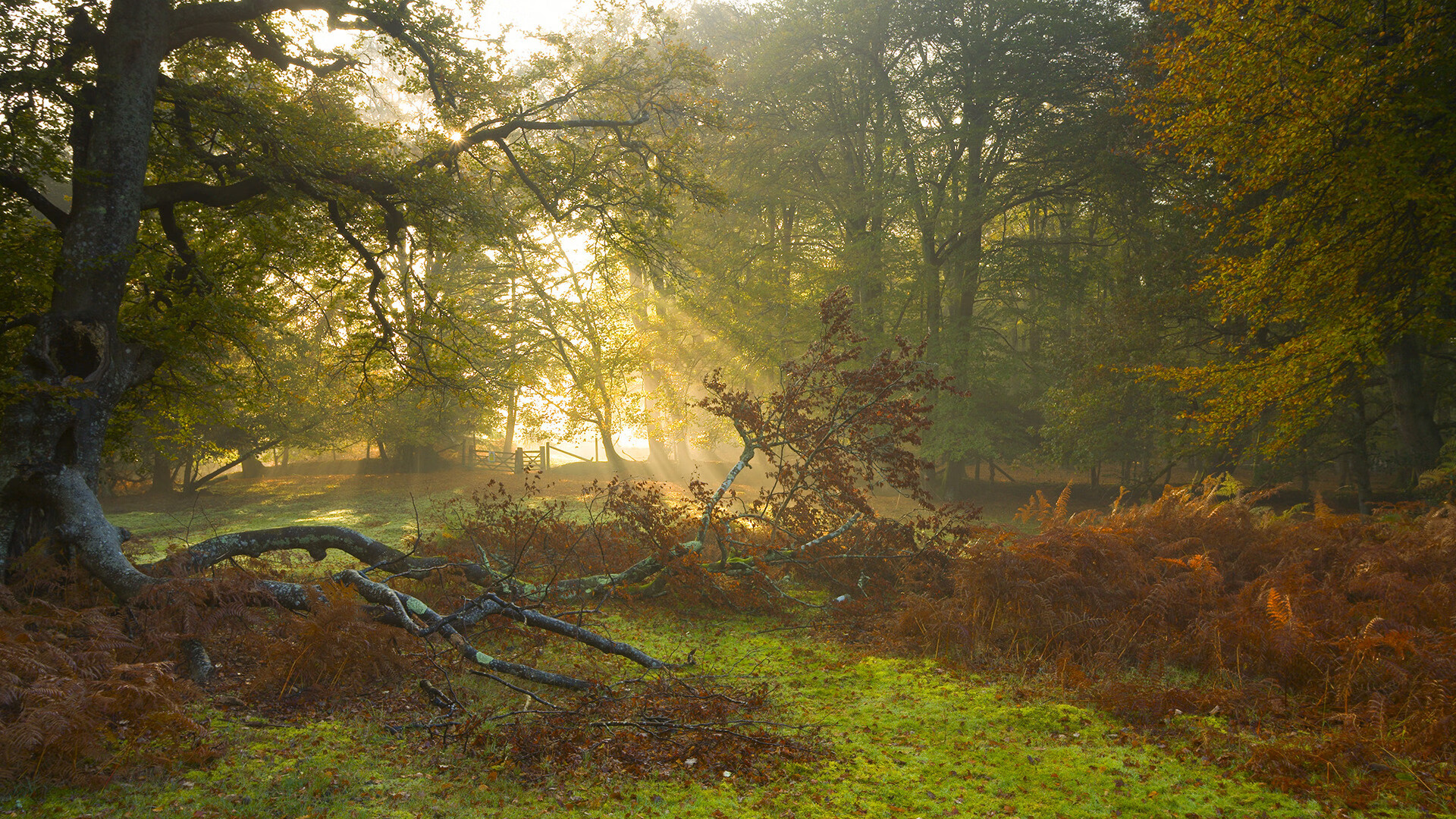 九游（jiuyou.com）游戏-勒沃库森战平比赛，积分暂时稳定，勒沃库森比赛视频聚胜顽球汇