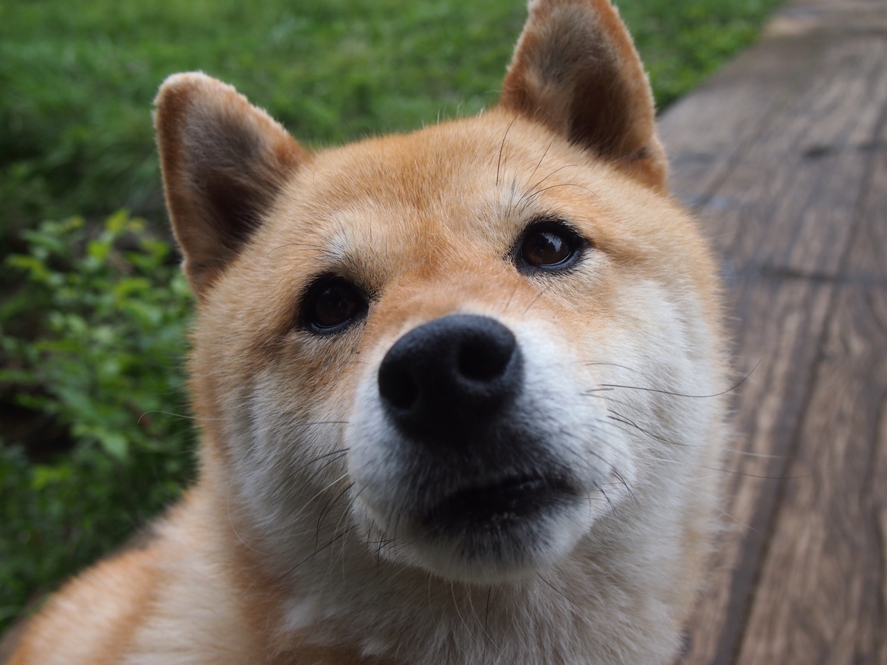 澳门女足队错失良机,与对手战平,澳门将谈国足