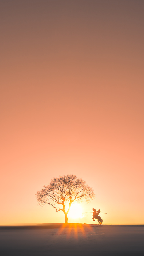 蔚山现代中场核心送出致命助攻,蔚山现代赛事速报微博