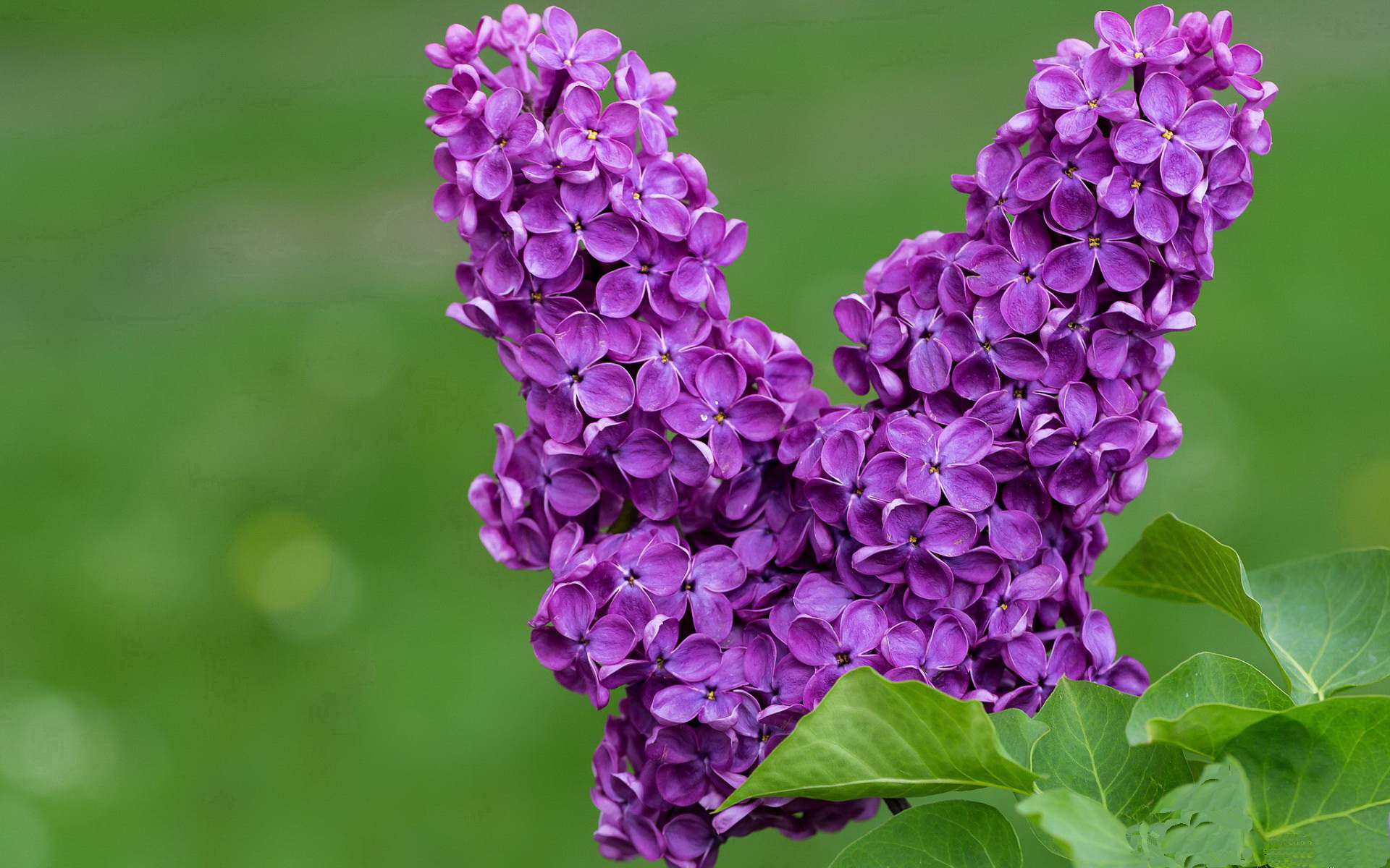 中国篮球职业联赛球队战术体系创新案例分析，篮球战术分析系统