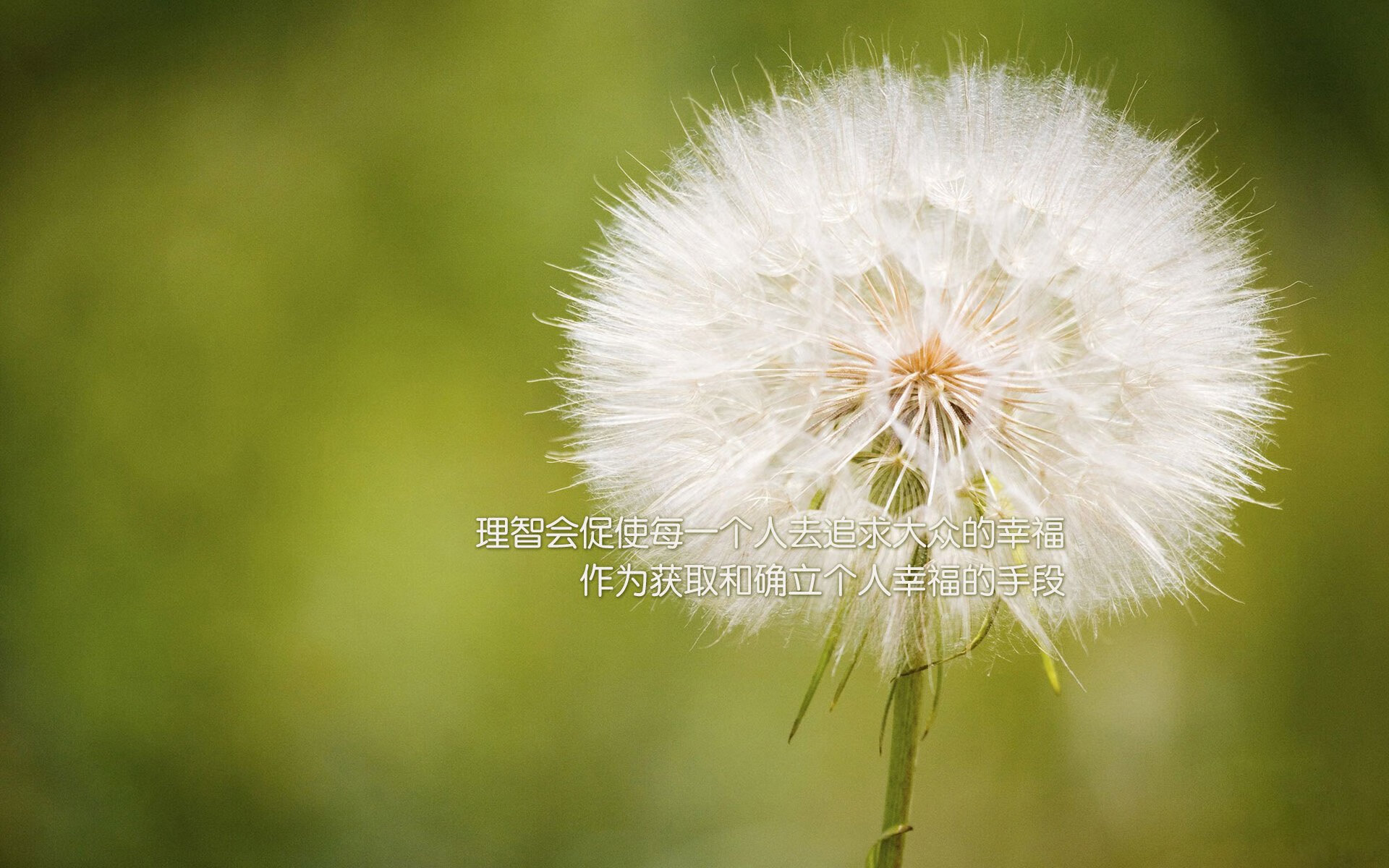 中国篮球联赛赛程安排对竞技状态影响研究，中国篮球联赛赛程安排积分