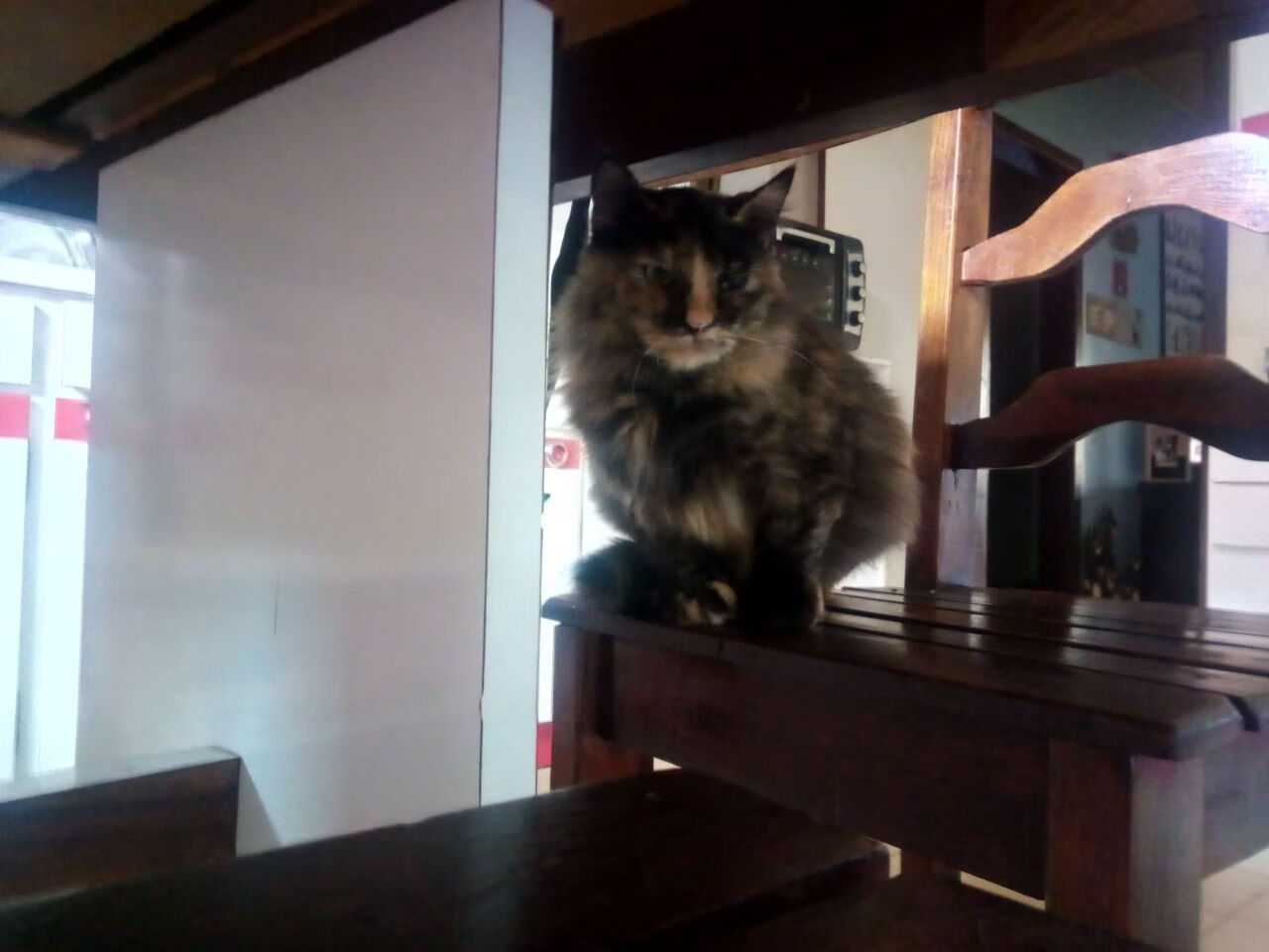 体育赛事数字化管理系统建设，体育数字化平台