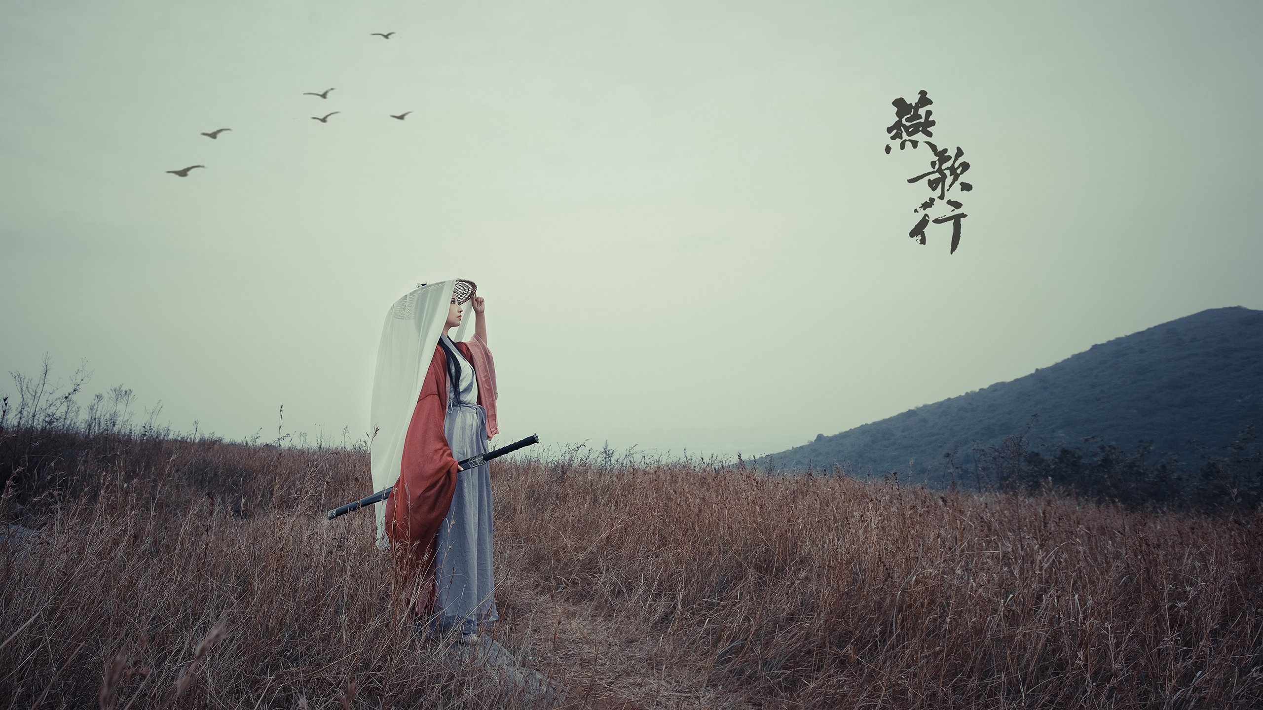 高校体育专业课程体系改革探讨,高校体育专业课程体系改革探讨论文