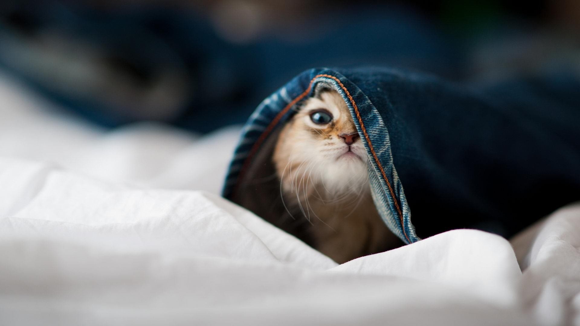 东亚杯U23国足爆冷 战术复盘揭示问题，亚洲杯u23中国队