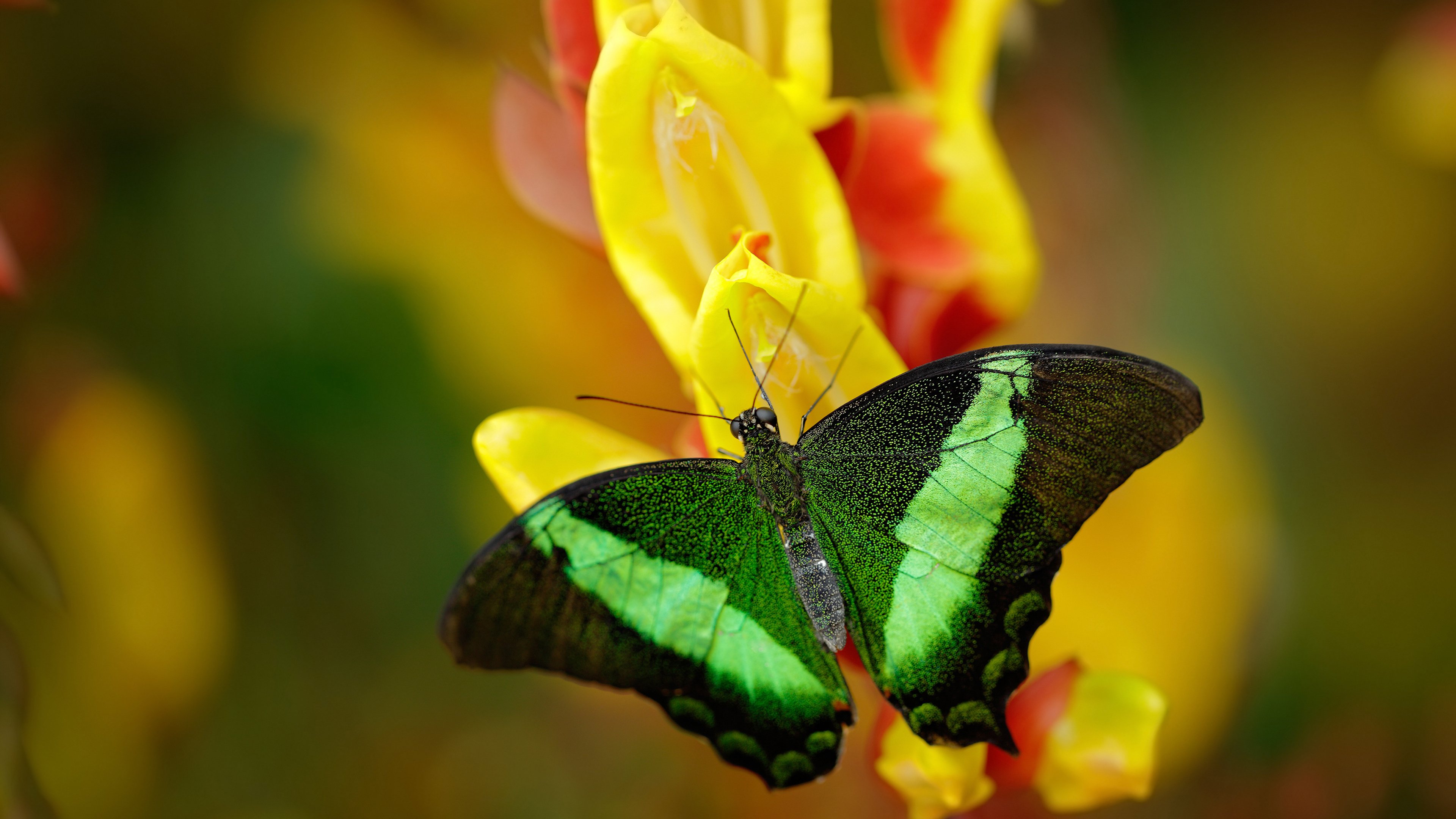 中国男篮攻防配合更加默契，聊聊中国男篮
