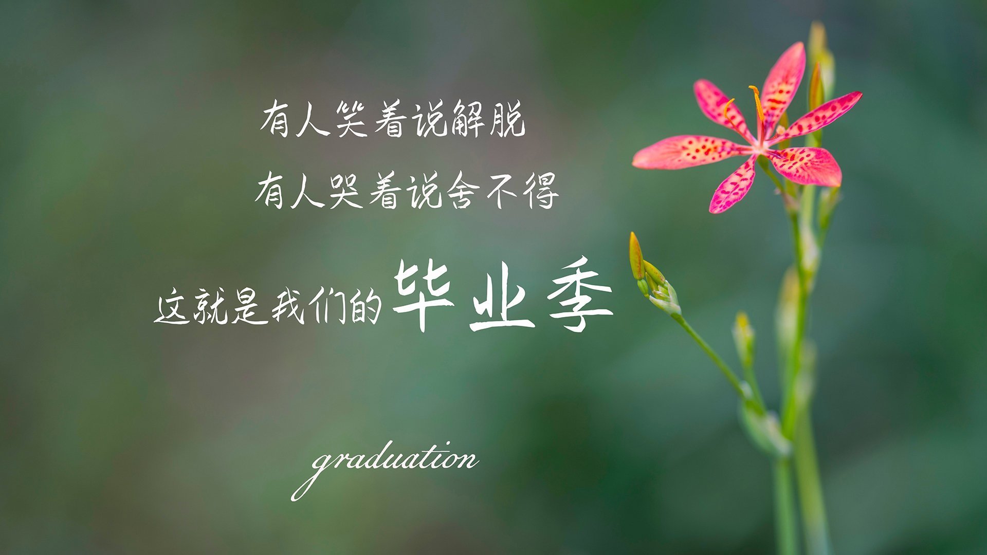 中国男篮加强训练节奏紧贴国际比赛需求，中国男篮新规则