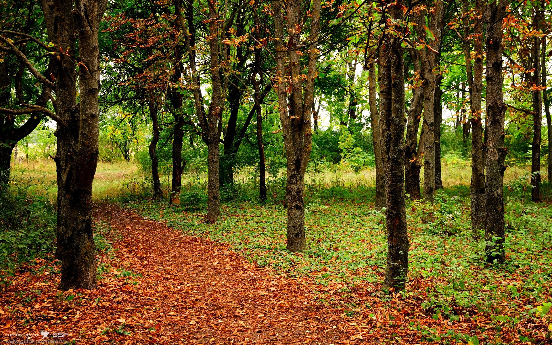 博卡青年失误率偏高,错失良机,博卡青年对竞技的比分预测
