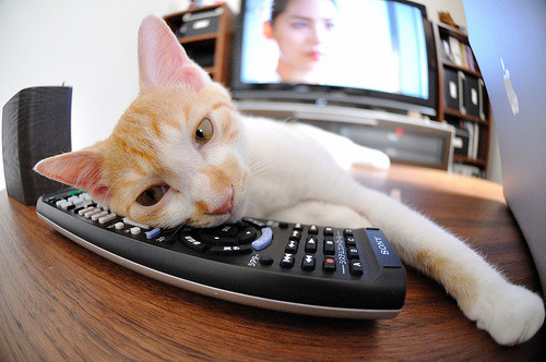 九游网页版官网入口-阿尔及利亚男篮在非洲 U23 3×3 首日战胜埃及与中非共和国，阿尔及利亚男子足球队