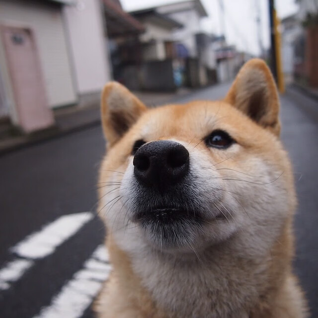 乌干达女篮在非洲锦标赛中持续突破，逐步迈上国际新高地，非洲乌干达rose