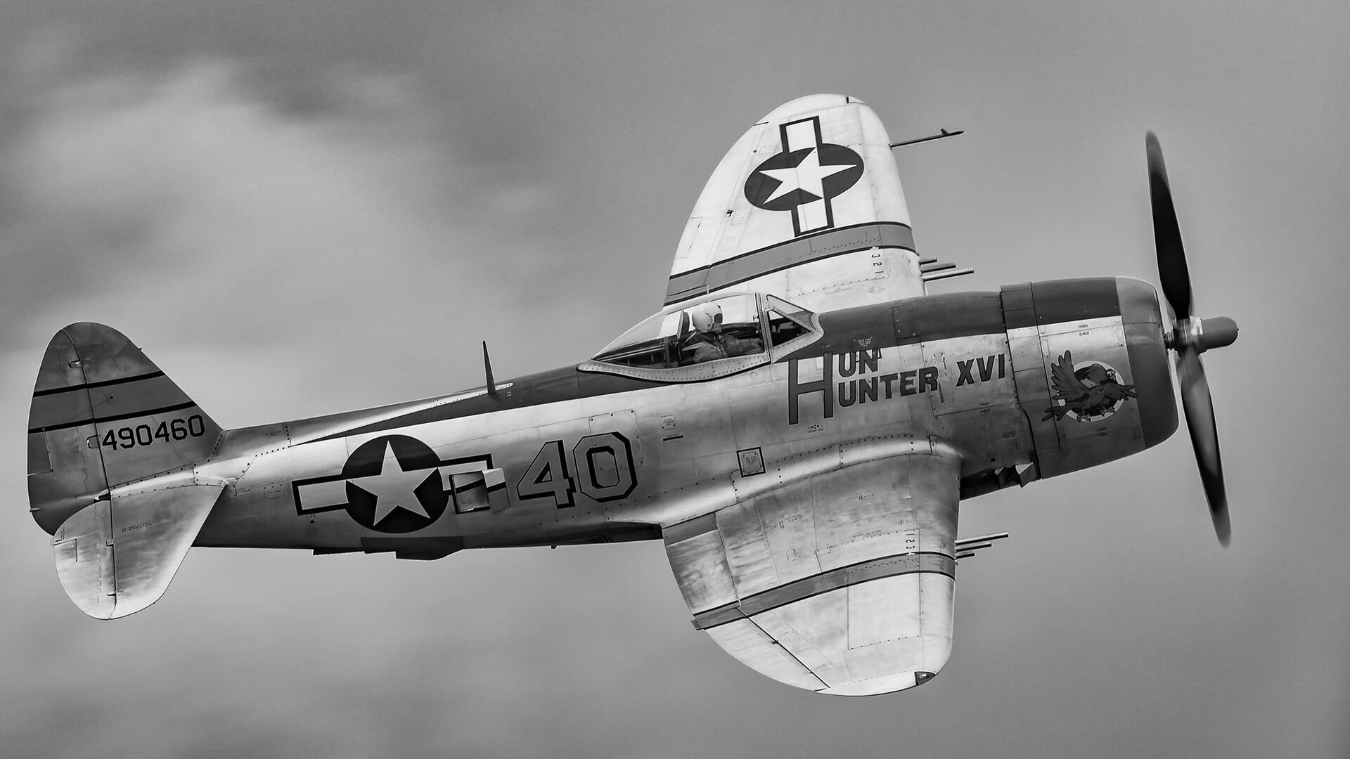 南非羚羊队的核心战术：不断打破对方防线，保持高压态势，南非羚羊皮可以干嘛用