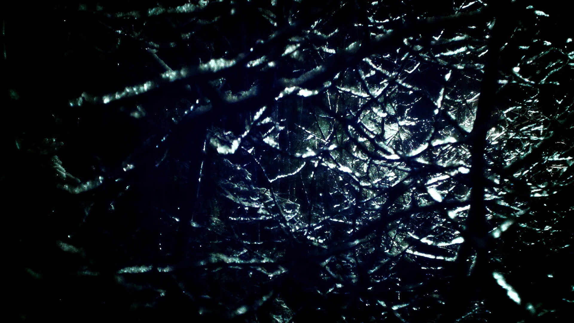 巴西队在南美预赛中保持领先，晋级成定局