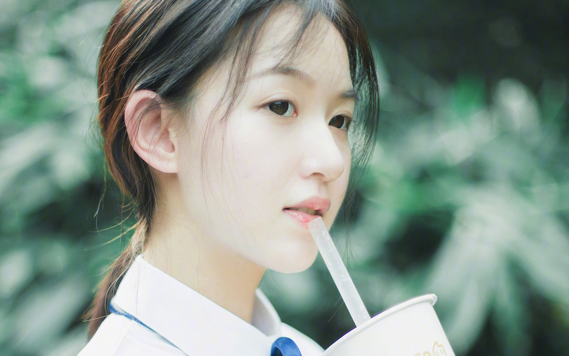 澳大利亚袋鼠队:传球精准与战术快速结合,澳大利亚袋鼠比赛