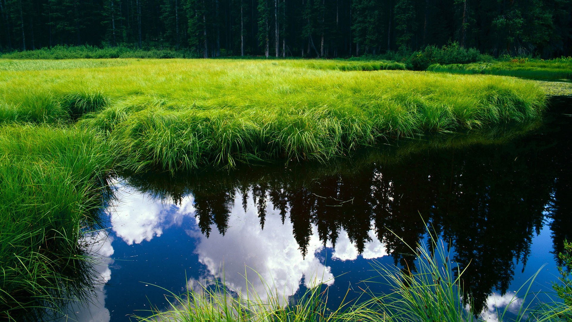 Jiuyou-独行侠召开球员专题会议分析近期训练成果，独行侠队现役球员