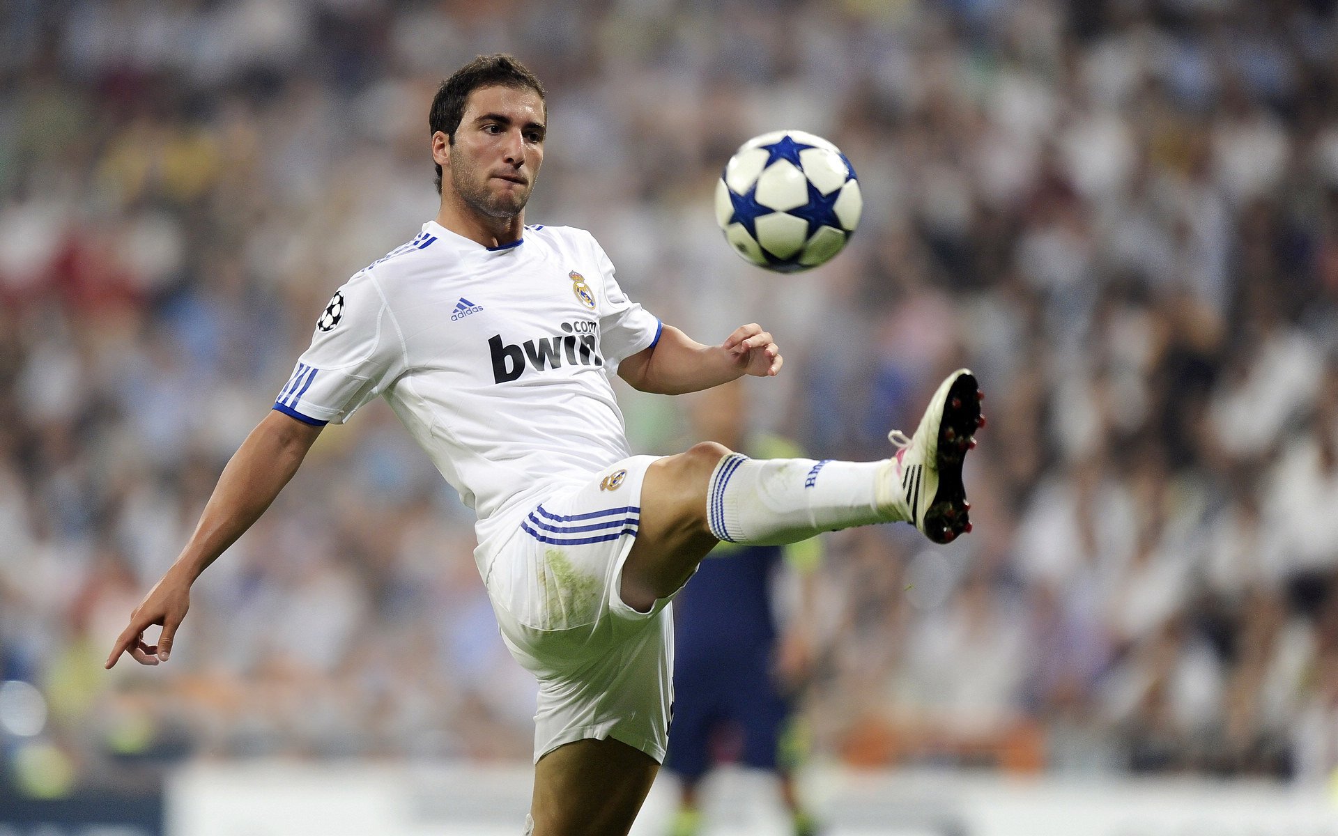 Jiu You-艾比·德尔福：每次拦截都成为南非队反击的关键，艾德和比尔的故事